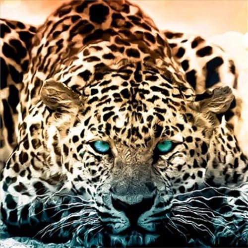 Puzzles 70 Teile, Puzzle Für Erwachsene, 16x16 cm Puzzle Lernspiel Herausforderung Spielzeug 70 Teile Leopard Puzzles für Erwachsene Puzzles 70 Teile, Puzzle Für Erwachsene, 16x16 cm Puzzle Lernspiel Herausforderung Spielzeug 70 Teile Leopard Puzzles für Erwachsene von Yoonqun