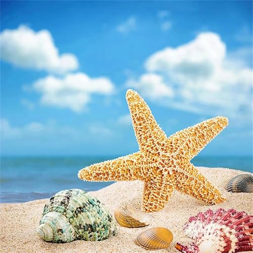 Puzzles 70 Teile, Puzzle Für Erwachsene, 16x16 cm Puzzle Lernspiel Herausforderung Spielzeug 70 Teile Strandlandschaft Puzzles für Erwachsene Puzzles 70 Teile, Puzzle Für Erwachsene, 16x16 cm Puzzle Lernspiel Herausforderung Spielzeug 70 Teile Strandlandschaft Puzzles für Erwachsene von Yoonqun