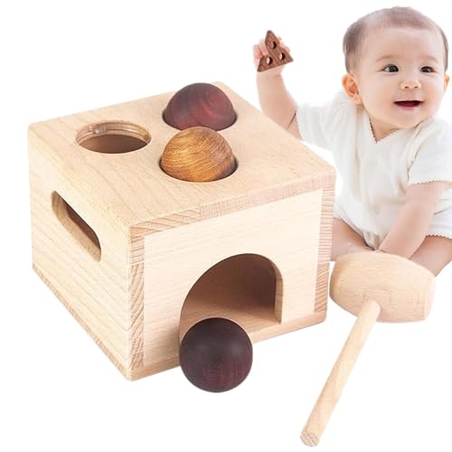 Yplkm Passendes Spiel für Kinder, Sortieren von Spielzeug für Kleinkind - Geometrische Board -Rätsel Holzpädagogikspielzeug - Geometrische Form Sortierer Buntes Sortierspiel für Kinder Mädchen von Yplkm