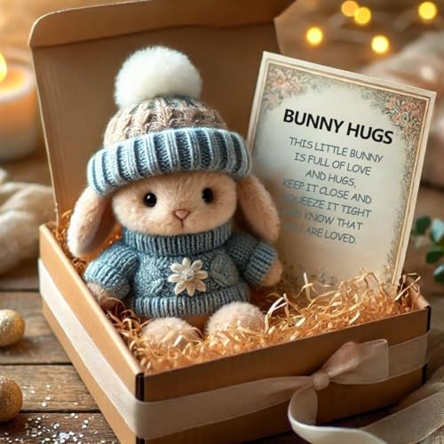 ZANWANXIN Mini Bunny Hug Cute Easter Gift,Cute Handmade Emotional Support Bunny with Inspirational Card,Easter Plush Rabbit with Knitted Hat and Pom Pom,Gift for Teachers, Friends (Blue) von ZANWANXIN