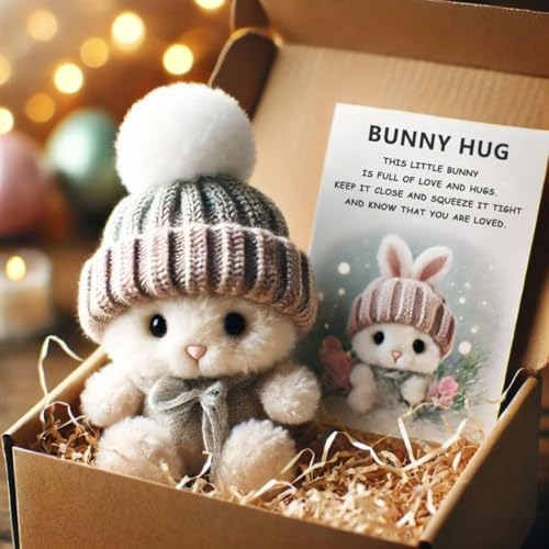 ZANWANXIN Mini Bunny Hug Cute Easter Gift,Cute Handmade Emotional Support Bunny with Inspirational Card,Easter Plush Rabbit with Knitted Hat and Pom Pom,Gift for Teachers, Friends (Gray) von ZANWANXIN