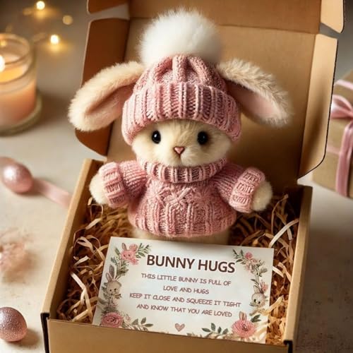 ZANWANXIN Mini Bunny Hug Cute Easter Gift,Cute Handmade Emotional Support Bunny with Inspirational Card,Easter Plush Rabbit with Knitted Hat and Pom Pom,Gift for Teachers, Friends (Pink) von ZANWANXIN