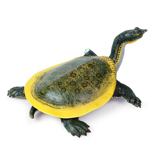 ZBIianxer Meeresschildkröten Modell Figuren Spielzeug Kreatur Lernen Spielzeug Desktops Display Geschenk von ZBIianxer