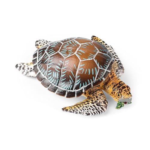 ZBIianxer Meeresschildkröten Modell Figuren Spielzeug Kreatur Lernen Spielzeug Desktops Display Geschenk von ZBIianxer