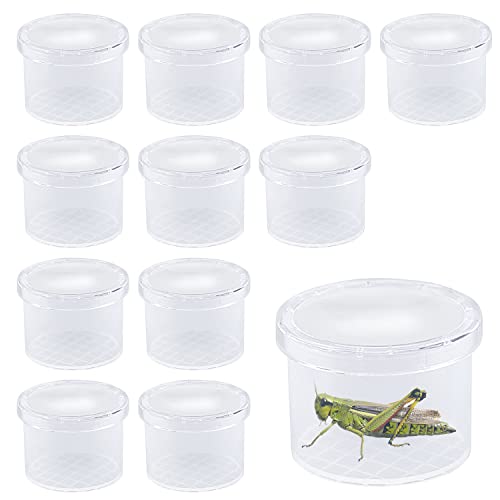 ZDNT 12 Stück Becherlupen für Kinder Insektenfang Set Insektenbeobachter Becherlupe Lupendose Insect Viewer Outdoor Spielzeug für Kinder Wissenschaft Biologie Naturerkundung von ZDNT