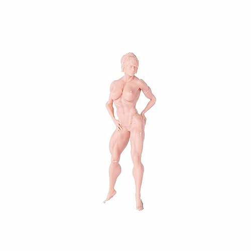 ZEDACAKAI 1/35 Abbildung Fitness Frau Bodybuilder Muskulöse Frau Miniaturen müssen von sich selbst gefärbt werden No2 von ZEDACAKAI