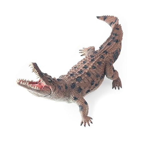 Pädagogische Alligator-Nachbildungen mit beweglichem Mund, Wissenschaftsfigur, Spielzeug für Klassenzimmer, Lehrhilfe, interaktives Lernspielzeug Pädagogische Alligator-Nachbildungen mit beweglichem Mund, Wissenschaftsfigur, Spielzeug für Klassenzimmer, Lehrhilfe, interaktives Lernspielzeug von ZEPFJHE