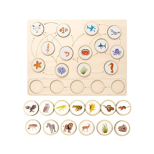 ZICHENXR Holzbrettspiel Ökologisches Nahrungskettenspielzeug Passendes Tierform Puzzlespielzeug Für Kinder Frühes Lernen Und Pädagogisches Geschenk von ZICHENXR