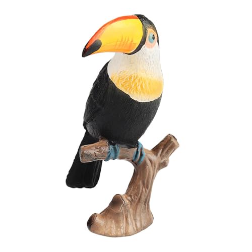 ZICHENXR Realistisches Tukan Modell Figur Spielzeug Tierstatue Vogelfigur SafariZoo Boutiques Store Science Classroom Award von ZICHENXR