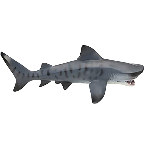 ZJchao Hai-Spielzeug, Hai-Modell, Simulation, Marine, Ozean, Meeresleben, Spielzeug, Megalodon, Spielzeug, Spielzeughai mit Tier, Seltene Modellfigur für Pädagogisches (Neues hohles von ZJchao