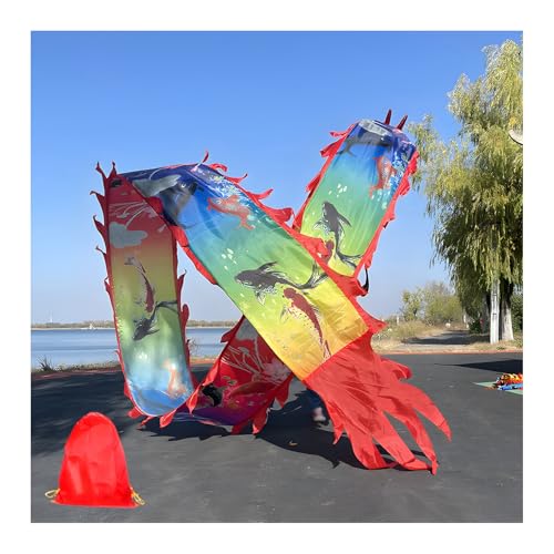 ZNQNDSR drachentanzband Drachentanz-Bänder Für Gymnastiktraining, Drachen-Poi Für Outdoor-Fitness, Drachentanz-Poi Mit Aufbewahrungstasche(Multi-Colored,26 ft) von ZNQNDSR