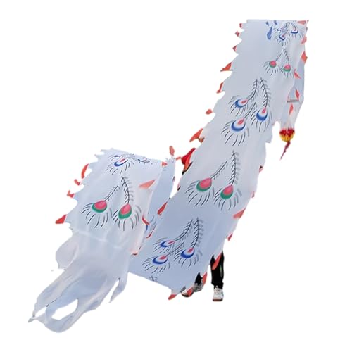 ZOAPDEBCE 3D Dragon Ribbon Streamer Outdoor Fitness Dragon D Drachen-Poi-Pfauenfeder-Drachen-Tanzband(White) von ZOAPDEBCE