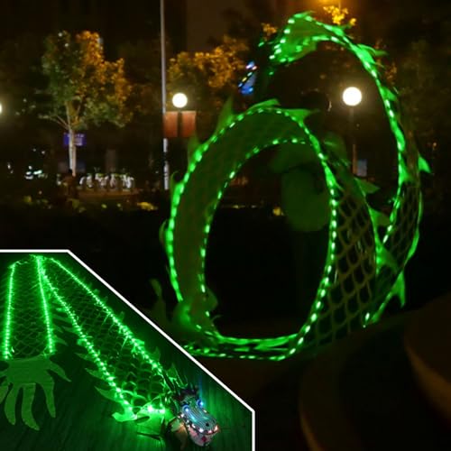 ZOAPDEBCE 3D Dragon Ribbon Streamer Outdoor Fitness Dragon D Dragon Poi Grün leuchtendes Drachentanzband(10 m (33 ft)) von ZOAPDEBCE