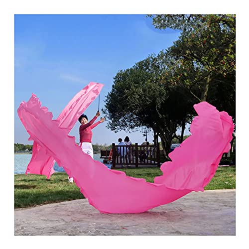 ZOAPDEBCE3D Dragon Ribbon Streamer， Bunte Drachentanz-Luftschlangen aus Seide, Outdoor-Fitness-Spin-Swing-Band, tragbares Spielgerät for Erwachsene und Kinder(Roze,8m/26ft) von ZOAPDEBCE