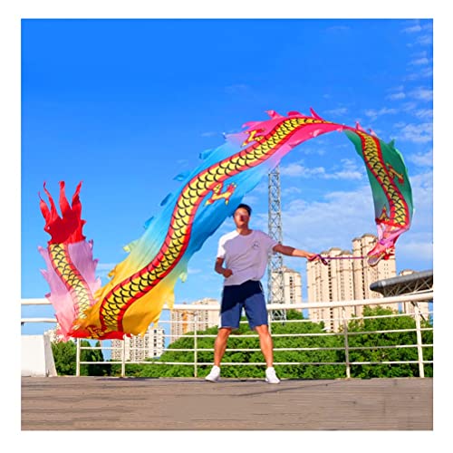 ZOAPDEBCE3D Dragon Ribbon Streamer， Bunte Drachentanz-Luftschlangen aus Seide, Spinnband for Outdoor-Sport und Fitness mit Drachenkopf, 6 m/8 m/10 m(Style 1,10m/33ft) von ZOAPDEBCE