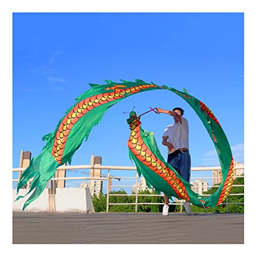 ZOAPDEBCE3D Dragon Ribbon Streamer， Bunte Drachentanz-Luftschlangen aus Seide, Spinnband for Outdoor-Sport und Fitness mit Drachenkopf, 6 m/8 m/10 m(Style 10,8m/26ft) von ZOAPDEBCE