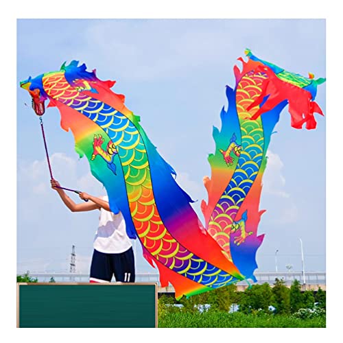 ZOAPDEBCE3D Dragon Ribbon Streamer， Bunte Drachentanz-Luftschlangen aus Seide, Spinnband for Outdoor-Sport und Fitness mit Drachenkopf, 6 m/8 m/10 m(Style 4,10m/33ft) von ZOAPDEBCE