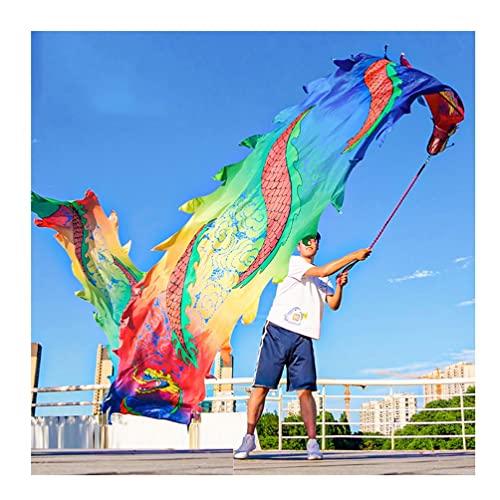 ZOAPDEBCE3D Dragon Ribbon Streamer， Bunte Drachentanz-Luftschlangen aus Seide, Spinnband for Outdoor-Sport und Fitness mit Drachenkopf, 6 m/8 m/10 m(Style 5,10m/33ft) von ZOAPDEBCE