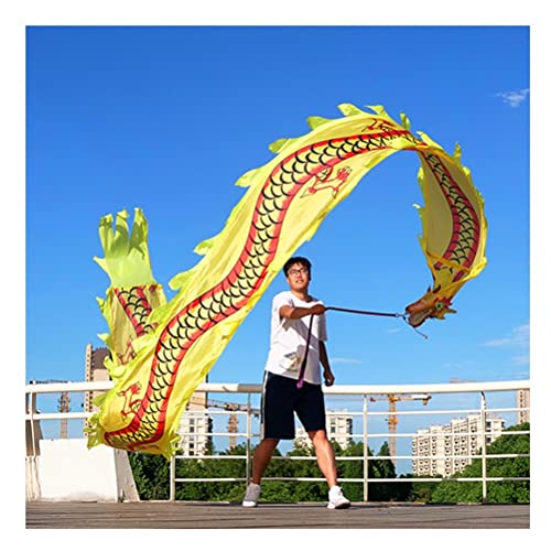 ZOAPDEBCE3D Dragon Ribbon Streamer， Bunte Drachentanz-Luftschlangen aus Seide, Spinnband for Outdoor-Sport und Fitness mit Drachenkopf, 6 m/8 m/10 m(Style 7,10m/33ft) von ZOAPDEBCE