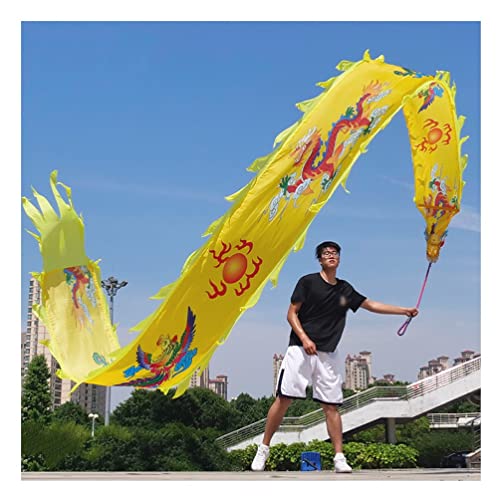 ZOAPDEBCE3D Dragon Ribbon Streamer， Bunte Drachentanz-Luftschlangen aus Seide, Spinnband for Outdoor-Sport und Fitness mit Drachenkopf, 6 m/8 m/10 m(Style 8,8m/26ft) von ZOAPDEBCE