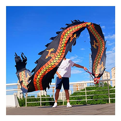 ZOAPDEBCE3D Dragon Ribbon Streamer， Bunte Drachentanz-Luftschlangen aus Seide, Spinnband for Outdoor-Sport und Fitness mit Drachenkopf, 6 m/8 m/10 m(Style 9,10m/33ft) von ZOAPDEBCE