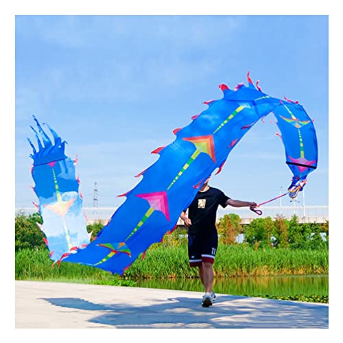 ZOAPDEBCE3D Dragon Ribbon Streamer， Bunte Drachentanz-Luftschlangen aus Seide, Spinnband for Sport und Fitness for Erwachsene und Kinder mit Drachenkopf, waschbar/reißfest(Blu,6m/20ft) von ZOAPDEBCE