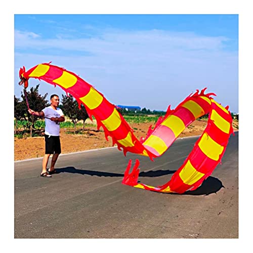 ZOAPDEBCE3D Dragon Ribbon Streamer， Bunte Drachentanz-Luftschlangen aus Seide, Sport-Fitness-Spinband for Erwachsene und Kinder mit Drachenkopf, Eltern-Kind-Spielausrüstung(Style 11,10m/33ft) von ZOAPDEBCE