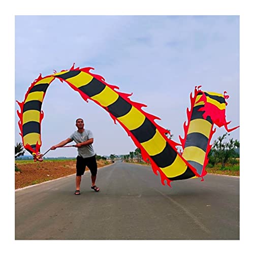 ZOAPDEBCE3D Dragon Ribbon Streamer， Bunte Drachentanz-Luftschlangen aus Seide, Sport-Fitness-Spinband for Erwachsene und Kinder mit Drachenkopf, Eltern-Kind-Spielausrüstung(Style 2,10m/33ft) von ZOAPDEBCE