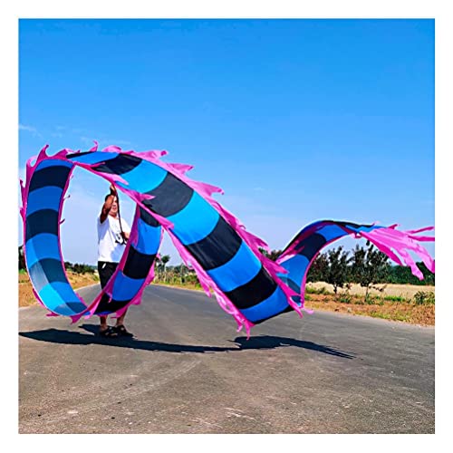 ZOAPDEBCE3D Dragon Ribbon Streamer， Bunte Drachentanz-Luftschlangen aus Seide, Sport-Fitness-Spinband for Erwachsene und Kinder mit Drachenkopf, Eltern-Kind-Spielausrüstung(Style 3,10m/33ft) von ZOAPDEBCE