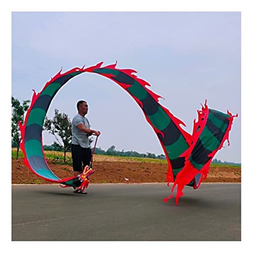 ZOAPDEBCE3D Dragon Ribbon Streamer， Bunte Drachentanz-Luftschlangen aus Seide, Sport-Fitness-Spinband for Erwachsene und Kinder mit Drachenkopf, Eltern-Kind-Spielausrüstung(Style 4,6m/20ft) von ZOAPDEBCE