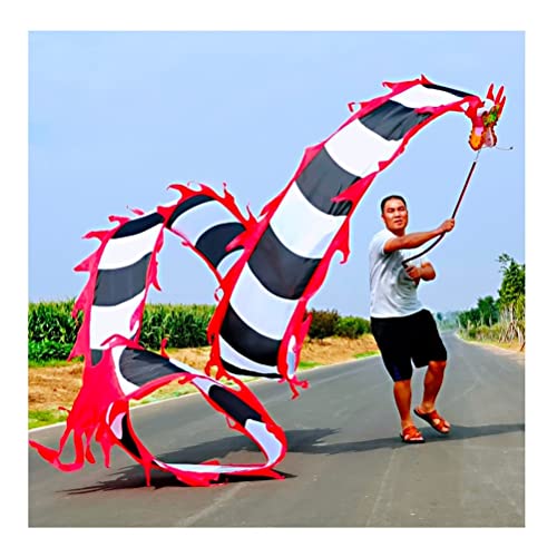 ZOAPDEBCE3D Dragon Ribbon Streamer， Bunte Drachentanz-Luftschlangen aus Seide, Sport-Fitness-Spinband for Erwachsene und Kinder mit Drachenkopf, Eltern-Kind-Spielausrüstung(Style 6,10m/33ft) von ZOAPDEBCE