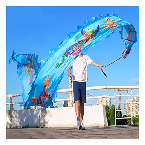 ZOAPDEBCE3D Dragon Ribbon Streamer， Bunte Drachentanz-Luftschlangen aus Seide, chinesisches Kung-Fu-Drachen-Spinnband, Outdoor-Sport-Fitnessgeräte(Blu,10m/33ft) von ZOAPDEBCE