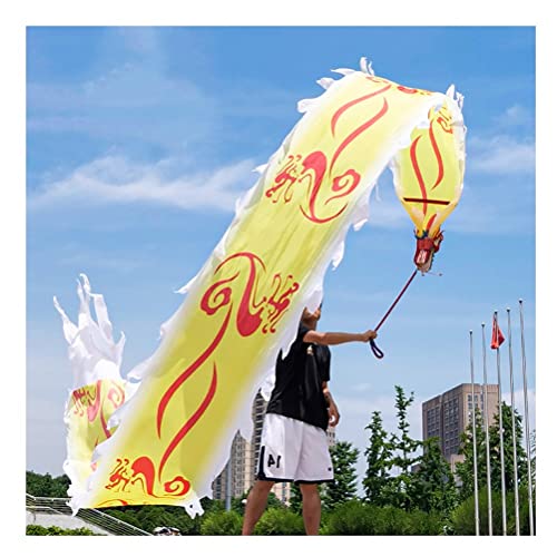 ZOAPDEBCE3D Dragon Ribbon Streamer， Bunte Seiden-Drachentanz-Luftschlangen, Outdoor-Park-Rasen-Fitness-Übungs-Luftschlangen, einseitiges Drachendruckband(C,6m/20ft) von ZOAPDEBCE