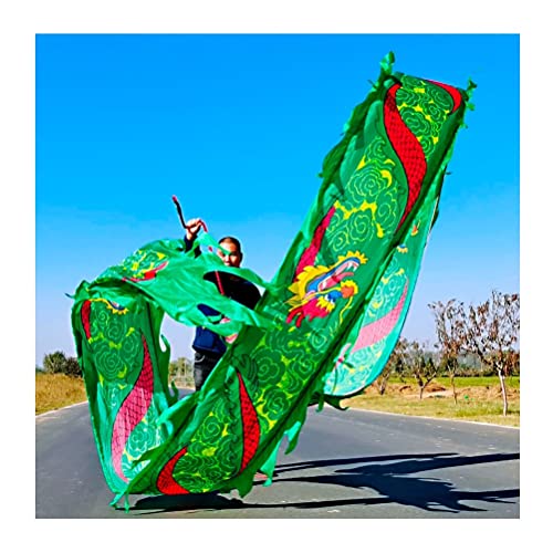 ZOAPDEBCE3D Dragon Ribbon Streamer， Drachen-Druck-Tanz-Luftschlangen, Bunte Drachen-Tanz-Luftschlangen aus Seide, Outdoor Square Park Sports Fitness-Band(Green,10m/33ft) von ZOAPDEBCE