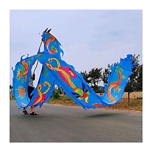 ZOAPDEBCE3D Dragon Ribbon Streamer， Drachen-Druck-Tanz-Luftschlangen, Bunte Seiden-Drachen-Tanz-Luftschlangen, Erwachsene Kinder Spin Swing Sport-Fitness-Band(Blu,10m/33ft) von ZOAPDEBCE