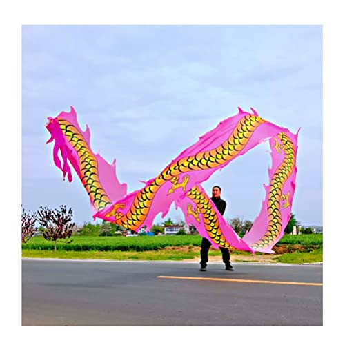 ZOAPDEBCE3D Dragon Ribbon Streamer， Drachen-Druck-Tanz-Luftschlangen, Bunte Seiden-Drachen-Tanz-Luftschlangen, chinesisches traditionelles Volkssport-Fitnessband(Roze,8m/26ft) von ZOAPDEBCE