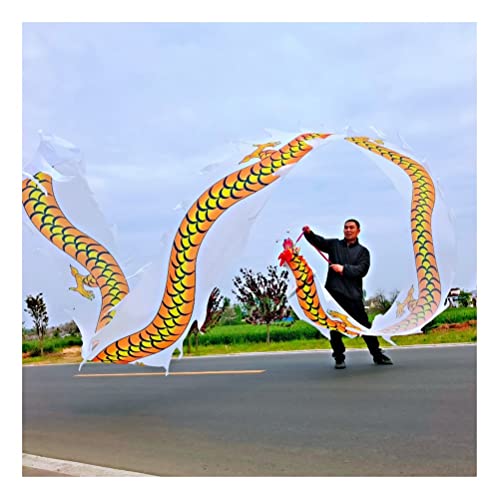 ZOAPDEBCE3D Dragon Ribbon Streamer， Drachen-Druck-Tanz-Luftschlangen, Bunte Seiden-Drachen-Tanz-Luftschlangen, chinesisches traditionelles Volkssport-Fitnessband(White,10m/33ft) von ZOAPDEBCE