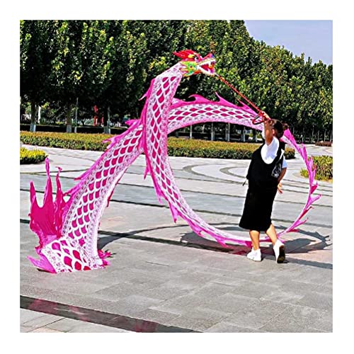 ZOAPDEBCE3D Dragon Ribbon Streamer， Drachen-Druck-Tanz-Luftschlangen, chinesischer Square Dance ältere Fitness-Aktivität Bunte Drachen-Tanz-Luftschlangen aus Seide(Roze,10m/33ft) von ZOAPDEBCE