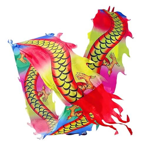 ZOAPDEBCE3D Dragon Ribbon Streamer， Drachen-Poi-Tanz-Drachen-Spinnbänder, seidenartiges Spinn- und Schüttel-Poi-Set mit 3D-Drachenkopf, Schaukelseil und Tasche(Multi-Colored,10m/33ft) von ZOAPDEBCE