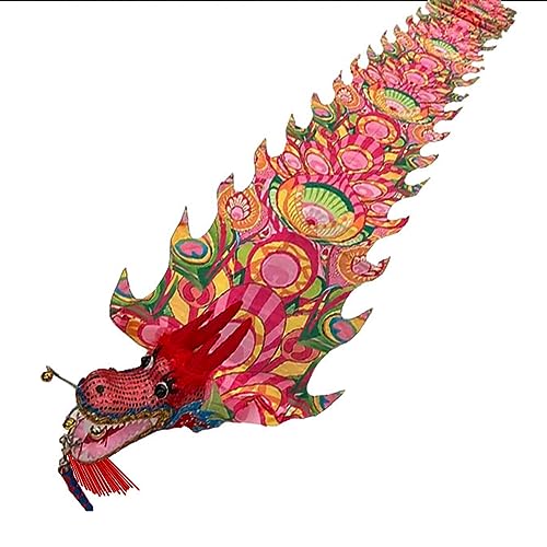 ZOAPDEBCE3D Dragon Ribbon Streamer， Seidenband-Tänzer mit Pfauenmuster, Outdoor-Park-Garten-Übungs-Tanzfahne, Streamer-Drachen mit Kopf(Rosso,12m/39ft) von ZOAPDEBCE