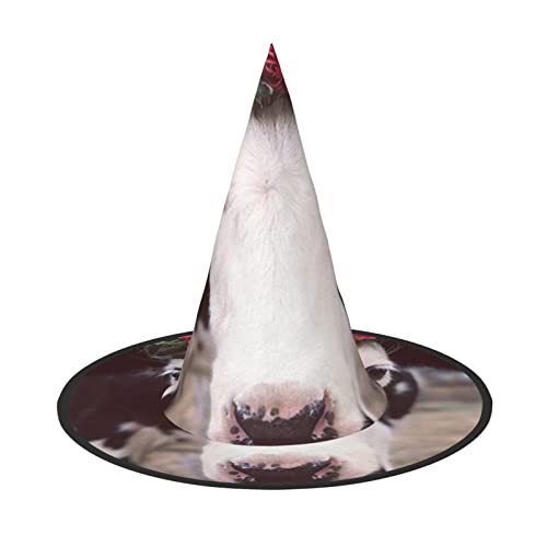 ZORIN Halloween Witches Hat Adult Wizard Hats Fancy Dress Cows In Flower Crowns Witches Hat Halloween Costume Decors for Cosplay Party Pets Garden von ZORIN