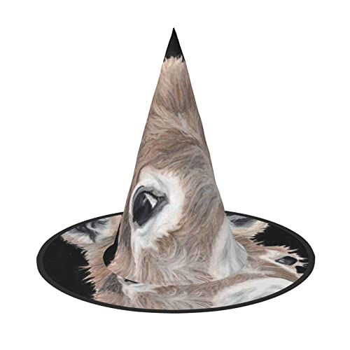ZORIN Halloween Witches Hat Adult Wizard Hats Fancy Dress Donkey Lying On The Window Witches Hat Halloween Costume Decors for Cosplay Party Pets Garden von ZORIN
