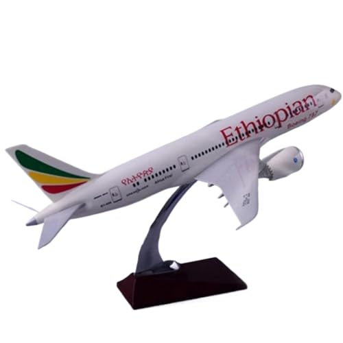 ZOUSANG Decorate Airplane 43 cm 1/145 for 787 B787 Dreamliner Flugzeug Äthiopien Airlines Modell mit Basis Flugzeug aus Druckgussharz for Collection or Gift von ZOUSANG