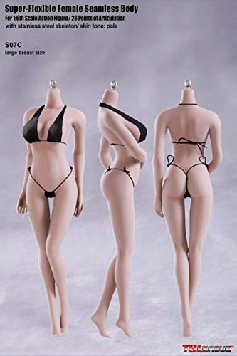 ZSMD 1/6 Female Seamless Action Figures-Realistic Full Silicone Body White Skin & Stainless Steel Skeleton - 12" Scale Super Flexible Female Figure Dolls for Arts/Drawings/Photography von ZSMD