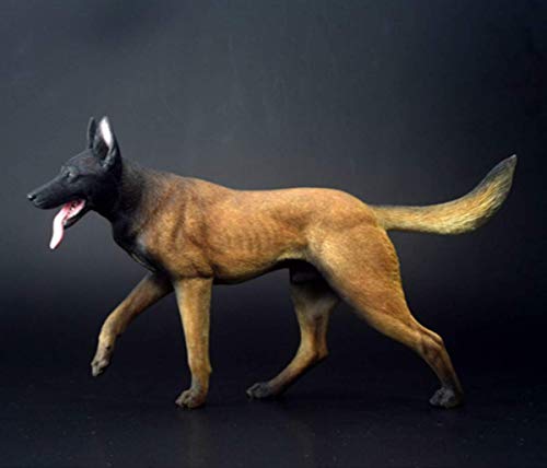 ZSMD 1/6 Working Dog Belgian Malinois Figure Pet Animal Model Realistic Educational Painted Figure Decoration Toy Collector Gift Adult (Black) von ZSMD