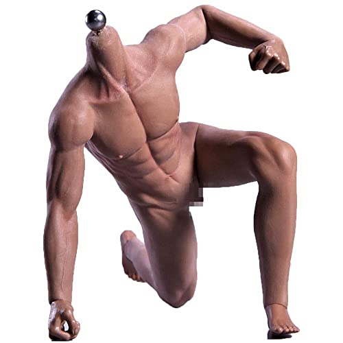 ZSMD 12" Male Seamless Action Figures-Realistic Silicone Body with Male Genitals -Skin Color Selectable -1/6 Scale Super Flexible Male Figure Dolls for Arts/Drawings/Photography (Suntan) von ZSMD