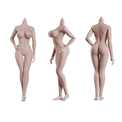 ZSMD Action Figur weibliche Seamless Action-Figuren körper 1/6 maßstab Flexible weibliche Figur Puppen für Kunst Zeichnung Fotografie von ZSMD