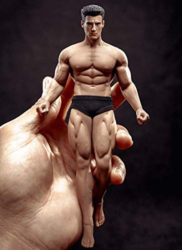 ZSMD TBLeague 6" Male Seamless Action Figures Full Set-Silicone Body+Head+Underwear-1/12 Scale Super Flexible Male Dolls for Arts/Drawings/Photography (TM02A) von ZSMD