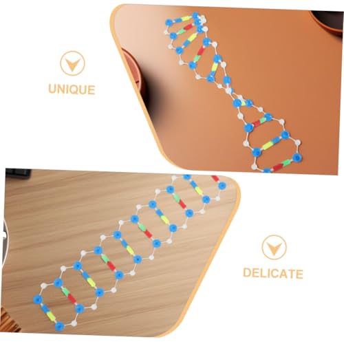 ZUNOXAZ 2 Stück DNA Doppelhelix Strukturmodell Bausatz Pädagogisches Lehrmittel für Schule Universität Labor Biologische Molekularbiologie Experimente ZUNOXAZ 2 Stück DNA Doppelhelix Strukturmodell Bausatz Pädagogisches Lehrmittel für Schule Universität Labor Biologische Molekularbiologie Experimente von ZUNOXAZ