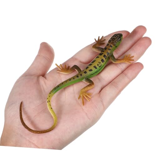 ZUNOXAZ 2 Stück Teiliges Realistische Plastik Eidechsen Robuste Simulation Modelle für Pädagogisches Lernspielzeug Grün und Blau Detailgetreue Nachbildung Langlebig und Sicher ZUNOXAZ 2 Stück Teiliges Realistische Plastik Eidechsen Robuste Simulation Modelle für Pädagogisches Lernspielzeug Grün und Blau Detailgetreue Nachbildung Langlebig und Sicher von ZUNOXAZ
